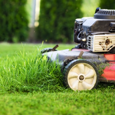LAWN CARE SERVICES